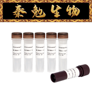 BL760A Biosharp白鲨 通用型探针法荧光定量PCR试剂盒