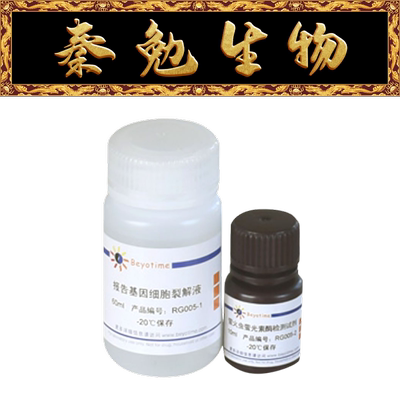 萤火虫萤光素酶报告基因检测