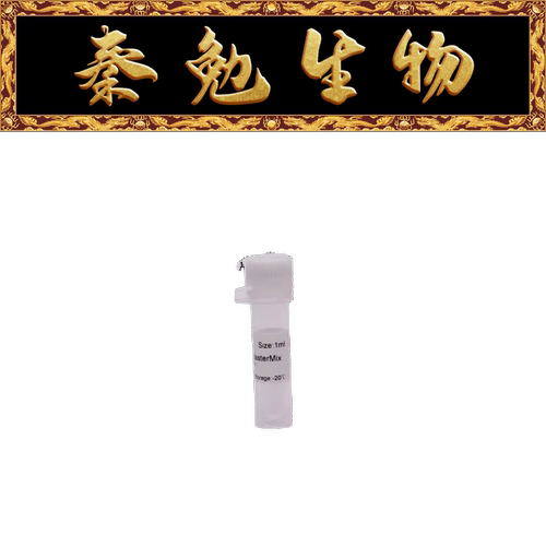 索莱宝2×TaqPCRMasterMix