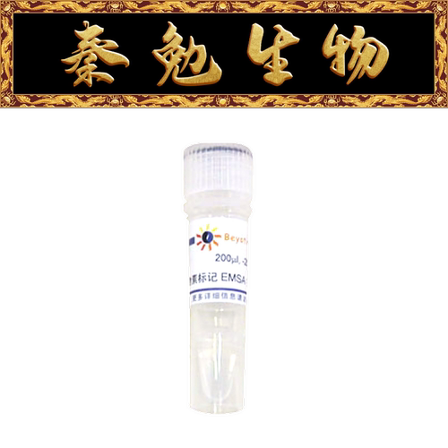 生物素标记EMSA探针－NF-κB