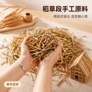 碎大米稻草段铺设造景菜园覆盖