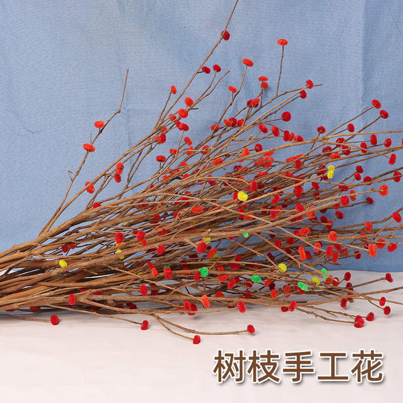 茶籽深山干茶果老山茶籽