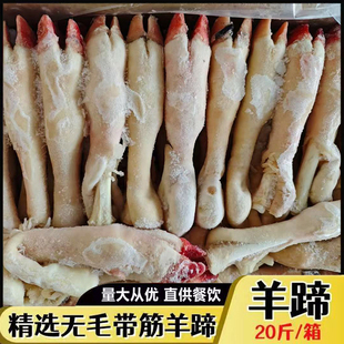 新鲜冷冻羊蹄子烧烤羊蹄内蒙古羊蹄20斤40个左右商用羊头馆卤羊蹄