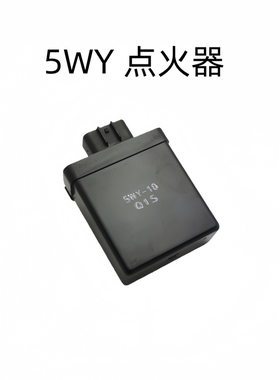 适用 雅马哈100摩托车 林海 巧格JOG 鬼火 酷奇 福喜100点火器5WY