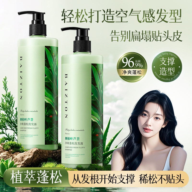 侧柏叶芦荟净爽蓬松洗发露清爽