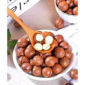 包邮 云南夏威夷坚果澳洲坚果中大果直径2.2 2.6cm原味自然味500克