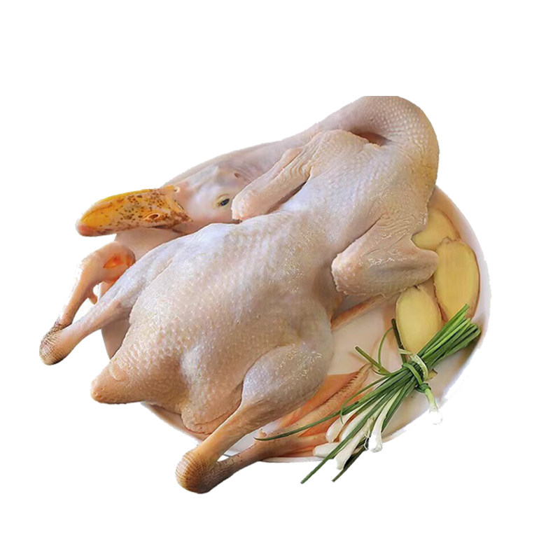 高邮正宗麻鸭生鸭肉散养稻田鸭生态整鸭肉质鲜嫩整只鸭子鸭肉生鸭