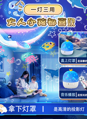 浪漫皇冠旋转满天星投影小夜灯
