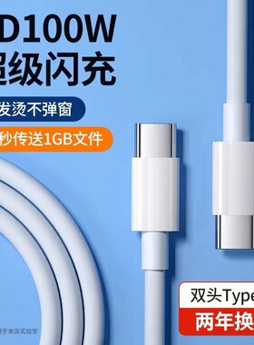 100W双Type-C超级闪充数据线