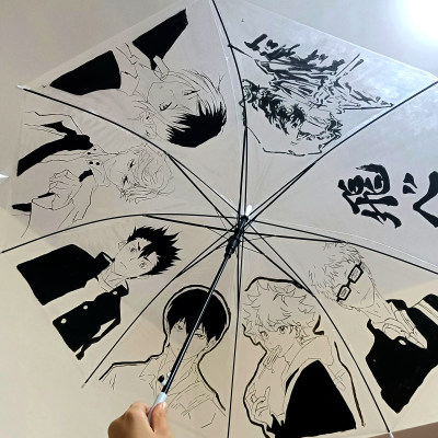 排球少年痛伞二次元周边雨伞日向翔阳绘画透明伞周边谷子半自动伞