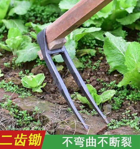 农用手工锻打锄头翻地松土工具种菜家用挖地多功能锰钢二齿锄耙子