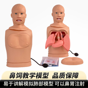 高级鼻饲管与气管护理模型半身护理模拟人鼻饲吸痰插胃管洗胃模具