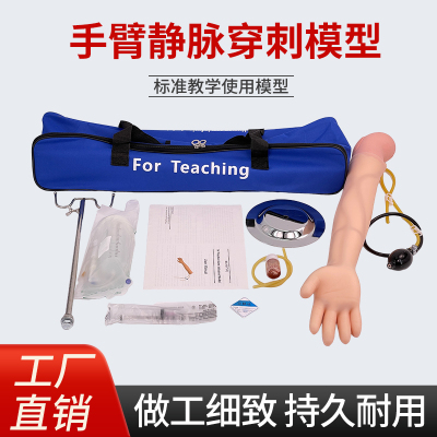 蓝蝶模拟输液手臂肌肉注射抽血