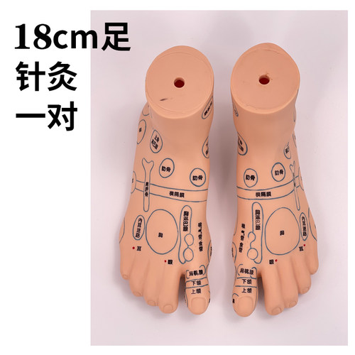 足底按摩脚部足部反射区脚模型 脚穴位 经络推拿针灸足底脚模艾灸 - 封面