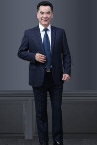 长年有货！890/P205西服套装男商务正装礼服格子西装婚礼服一套图片