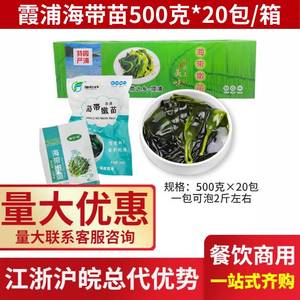 霞浦海带苗20包整箱 新鲜盐渍小海带芽盐渍嫩苗凉拌火锅炖汤商用