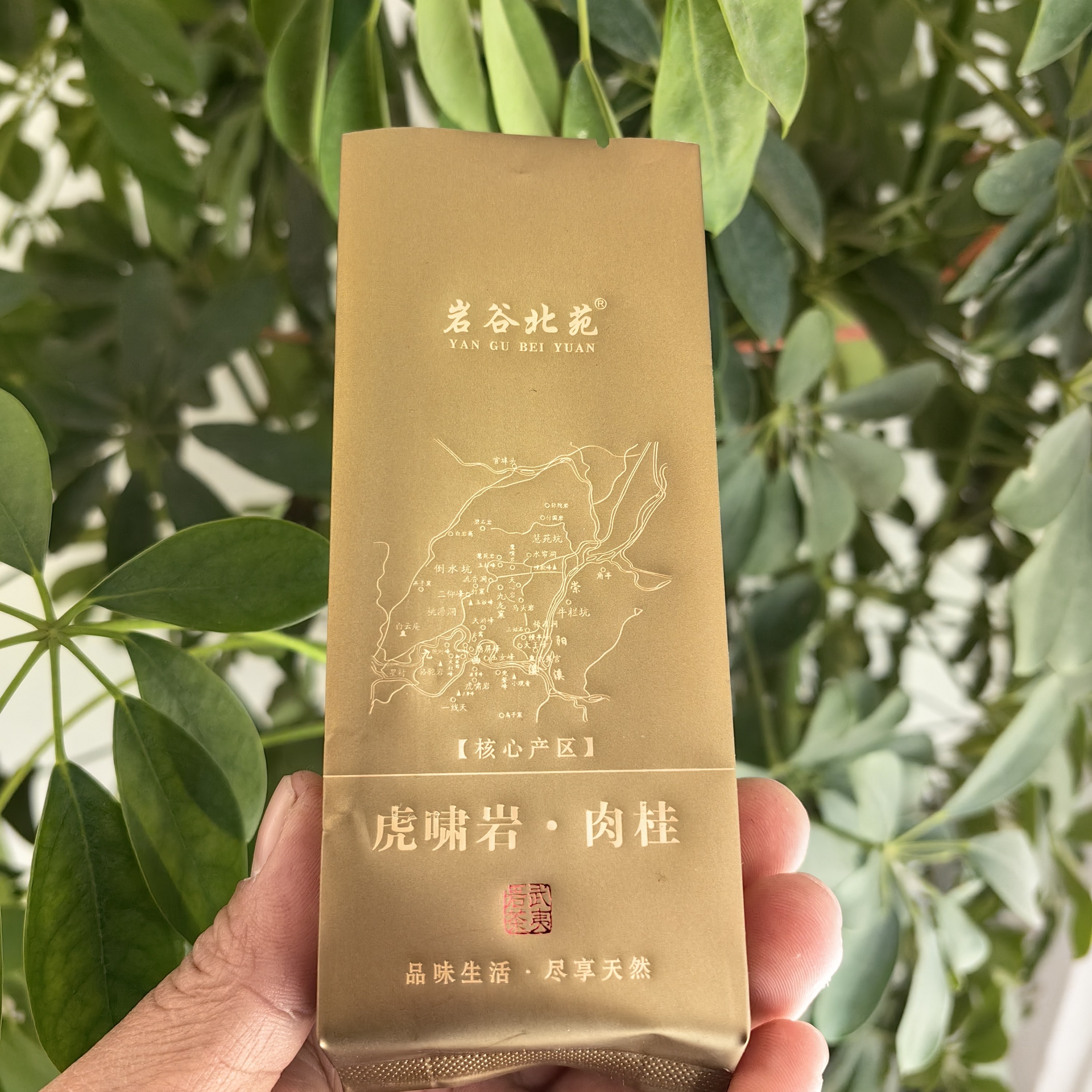 武夷山《虎啸岩·肉桂》一两六泡品鉴装,茶,肉桂茶,淘宝优惠券,粉丝福利购,淘宝优惠卷