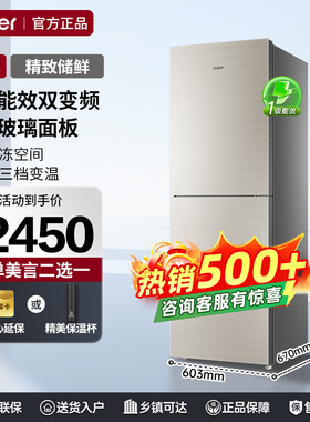 海尔冰箱309升两门双门一级能效风冷无霜大冷冻小型租房冰箱WMCO