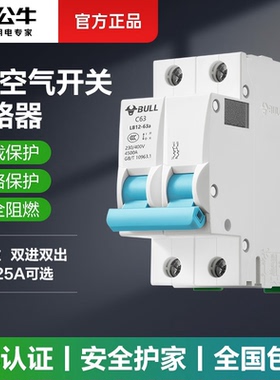 公牛2p空气开关63a空开断路器1p3p小型100a家用塑壳电闸空开总闸