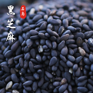 驻马店 炒熟黑芝麻 粒粒饱满色泽黑亮 烘焙黑芝麻粒 炒黑芝麻粒