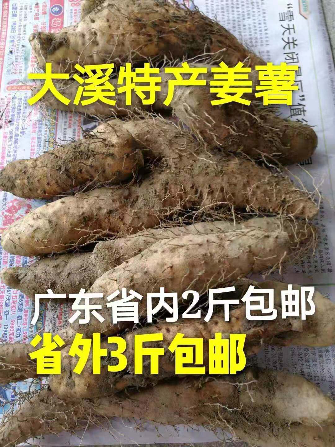 姜薯潮汕特产姜茨 新鲜现挖大溪姜署茨甜汤清爽滑口带皮大个1斤份