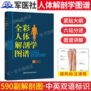 全彩人體解剖彩色學(xué)圖譜 醫(yī)生基礎(chǔ)用書籍人體結(jié)構(gòu)造教材軍事醫(yī)學(xué)中英文標(biāo)識(shí)肌肉系統(tǒng)口腔瑜伽運(yùn)動(dòng)解刨生理學(xué)圖鑒天一 速發(fā) 正版