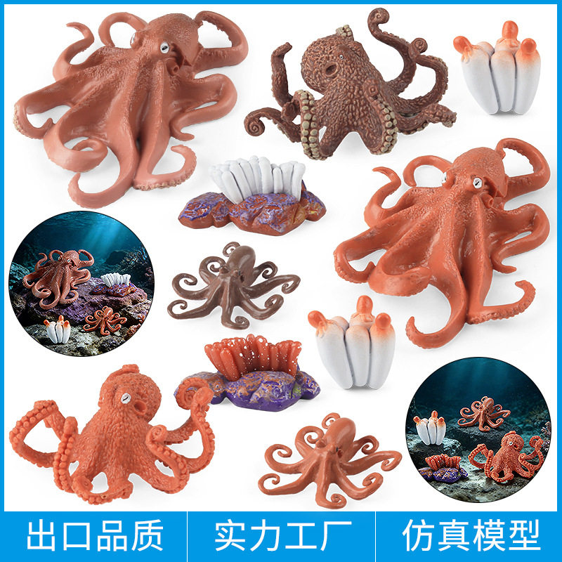 儿童玩具认知仿真动物模型海洋馆生物鱿鱼八爪鱼乌贼章鱼成长周期