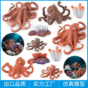 儿童玩具认知仿真动物模型海洋馆生物鱿鱼八爪鱼乌贼章鱼成长周期