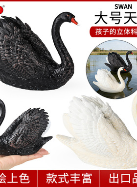 儿童动物模型仿真禽类玩具大号黑天鹅白天鹅鸟类飞禽认知家居摆件