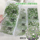 浅绿色美甲钻爆闪大王扇贴钻ss3ss4平底小圆钻diy材料包美甲饰品
