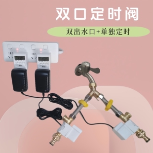 双口定时阀放水开关智能电磁阀独立定时阀取水阀浇花定时开关阀门
