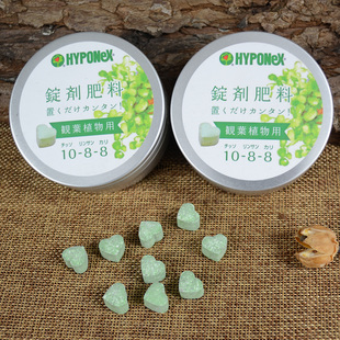 日本原装花宝HYPONeX绿色 爱心糖 多肉植物增肥增厚整盒 约70粒