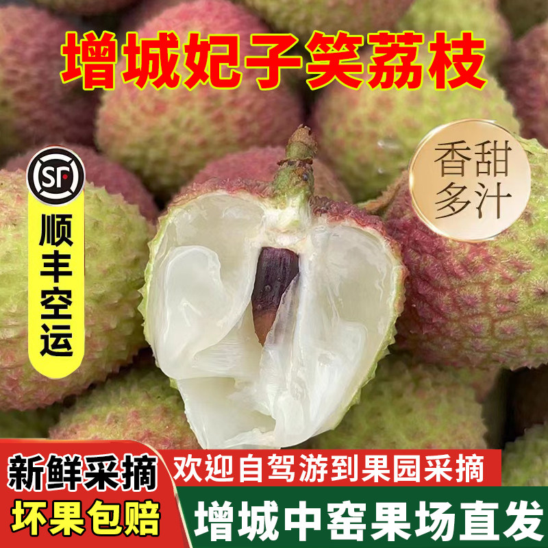 新鲜荔枝增城妃子笑荔枝应季时令水果孕妇水果果园南山现摘现发