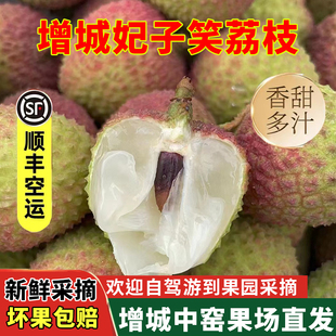 新鲜荔枝增城妃子笑荔枝应季时令水果孕妇水果果园南山现摘现发