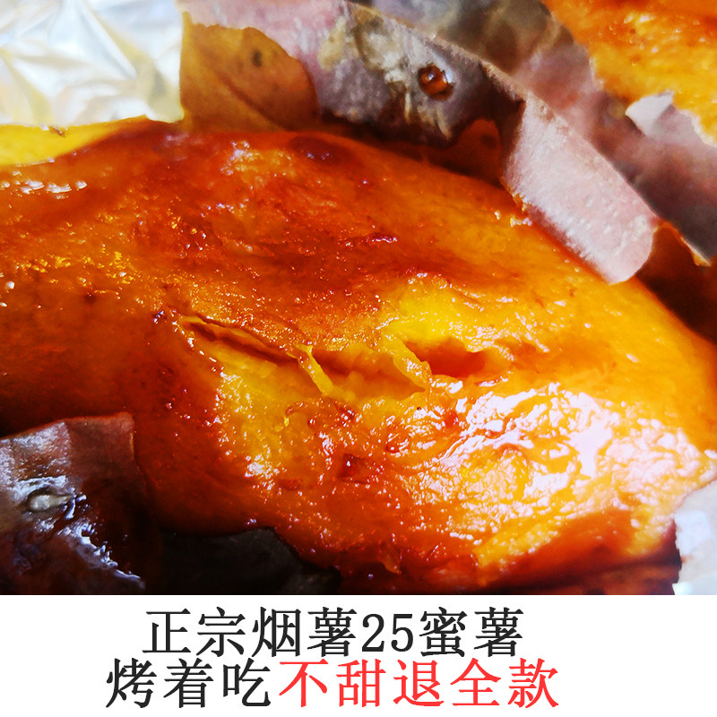 纯甜烤地瓜蜜薯烟薯25山东烟薯25
