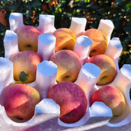 山东烟台国产爱香妃苹果脆糖度高