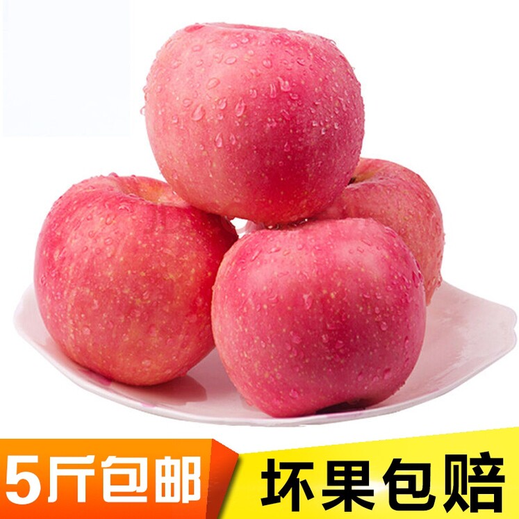 山东烟台霜降栖霞红富士苹果新鲜水果4.5-5斤包邮脆甜多汁酸甜