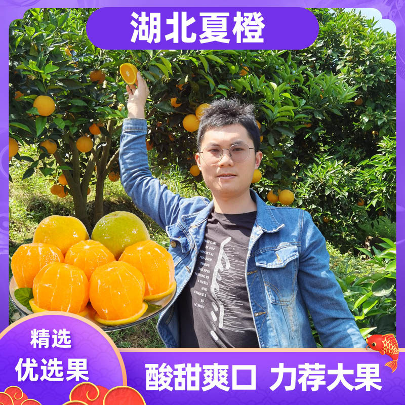 湖北夏橙3斤5斤9斤 当季手剥酸甜橙子新鲜水果脐血多汁冰糖包邮