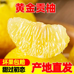 湖南怀化洪江黄金贡柚象山春香蜜柚当季新鲜水果小柚子甜柚包邮10