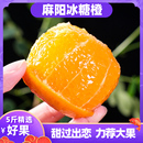 包邮 湖南麻阳冰糖橙9斤5斤应当季 多汁新鲜水果手剥甜橙子夏脐血