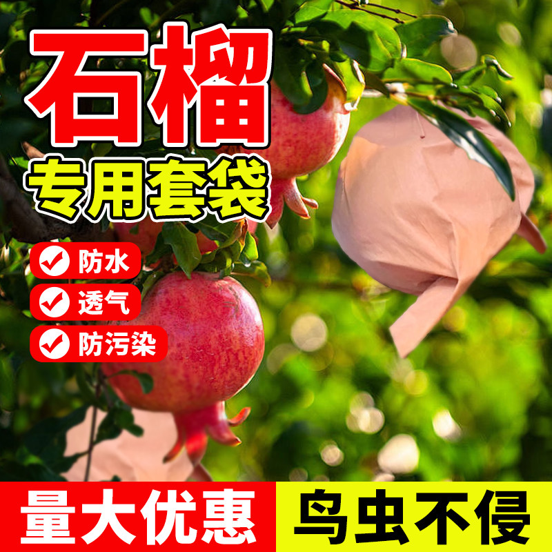 水果套袋石榴网袋防虫防鸟神器防水透气果袋植物果树保护专用苹果