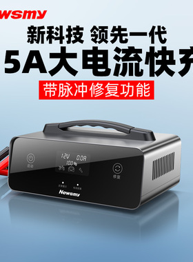 【新旗舰】纽曼大功率汽车电瓶充电器摩托车启停12v24v脉冲修复