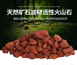 水族箱过滤材料造景摆设火山石花罗汉增色起头鱼缸底砂火山岩包邮