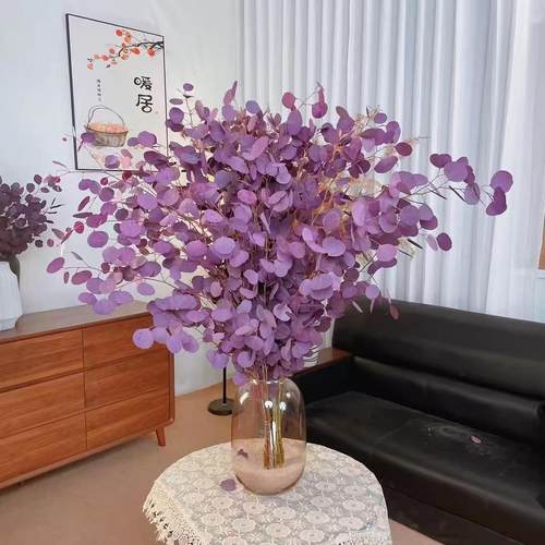 苹果尤加利叶永生保鲜花直发好养