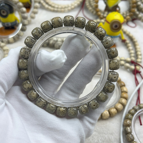 同枝石玉89火龙果