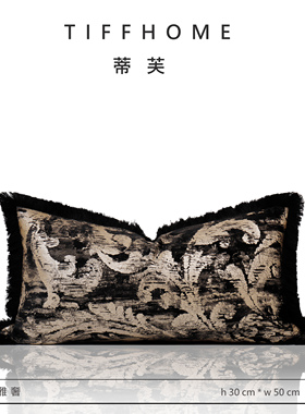 TIFFHOME高级感沙发客厅抱枕轻奢高端搭毯酒店样板间黑金色腰枕套