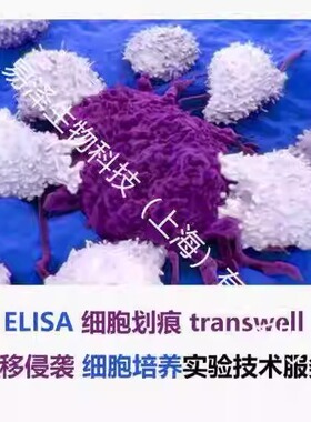 细胞迁移（Transwell）