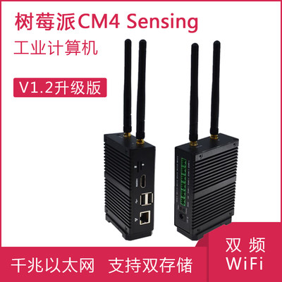 树莓派CM4 Sensing工控机 工业应用支持RS232 RS485 CAN 4G通讯