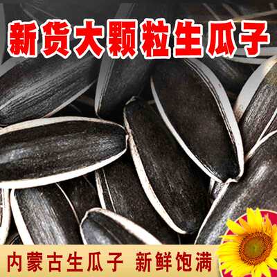 语农往事内蒙新货原味大颗葵花籽