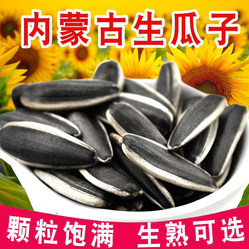 生瓜子内蒙古生葵花籽新货大颗粒原味葵花子新鲜散装休闲办公零食